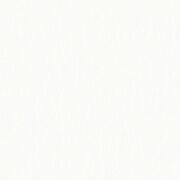 Thumb_8208_01_26_bfco_1