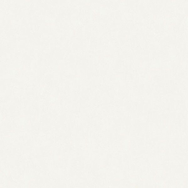 Big_8218_01_26_bfco_1