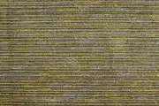 Thumb_2857_704_1