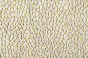 Thumb_14674_403_1