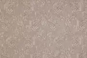 Thumb_14648_817_1