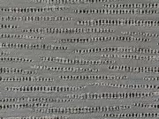 Thumb_21259_989_1