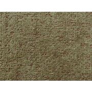 Thumb_21258_384_1