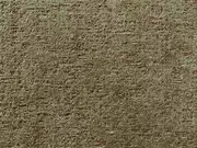 Thumb_21258_384_1