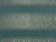Thumb_15470_715_1