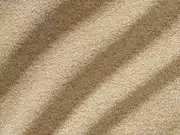 Thumb_10868_224_1