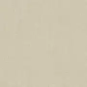 Thumb_8253_12_10_bfco_1