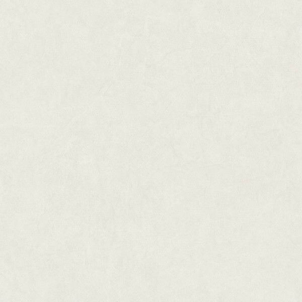 Big_8218_91_37_bfco_1