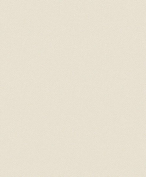 Big_8228_11_06_bfco_1