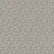 Thumb_1692_934_1