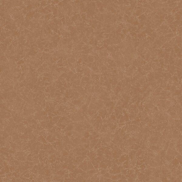 Big_8267_24_53_bfco_1