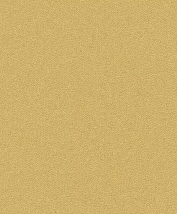 Big_8228_22_07_bfco_1