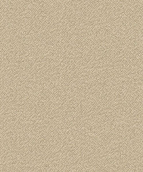 Big_8228_12_40_bfco_1