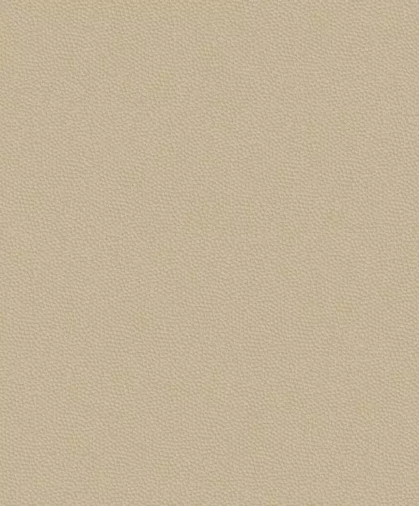 Big_8228_12_40_bfco_1