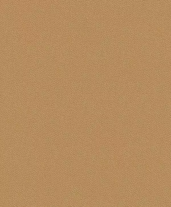Big_8228_24_42_bfco_1
