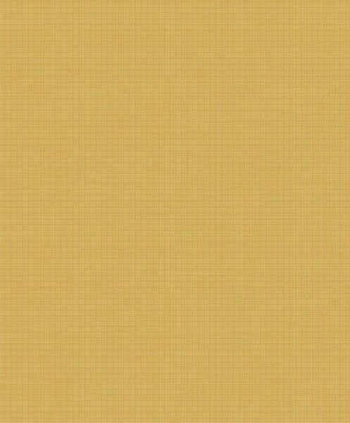 Big_8374_24_28_bfco_1