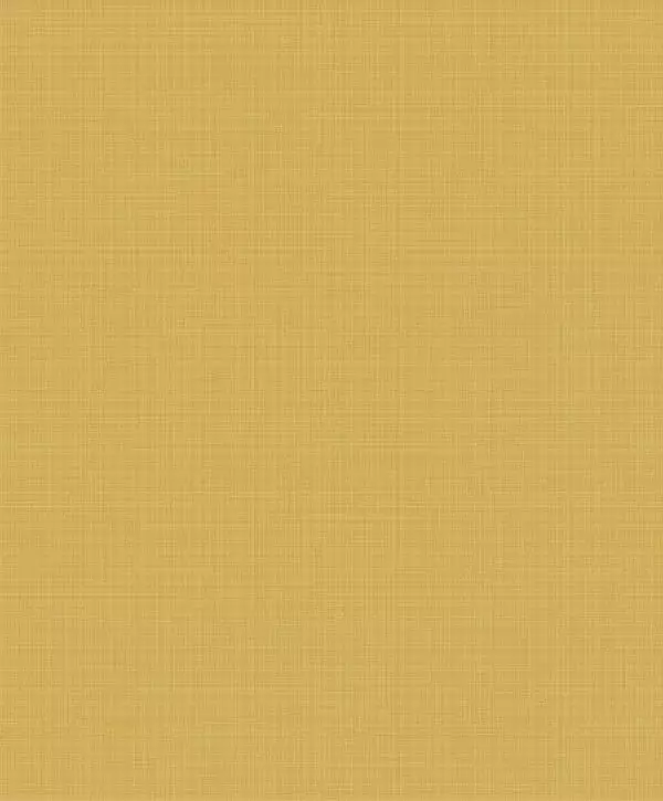 Big_8374_24_28_bfco_1