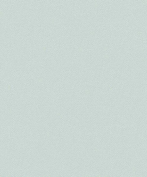 Big_8228_61_26_bfco_1