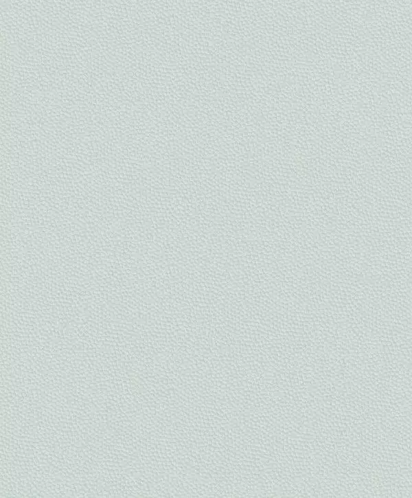 Big_8228_61_26_bfco_1