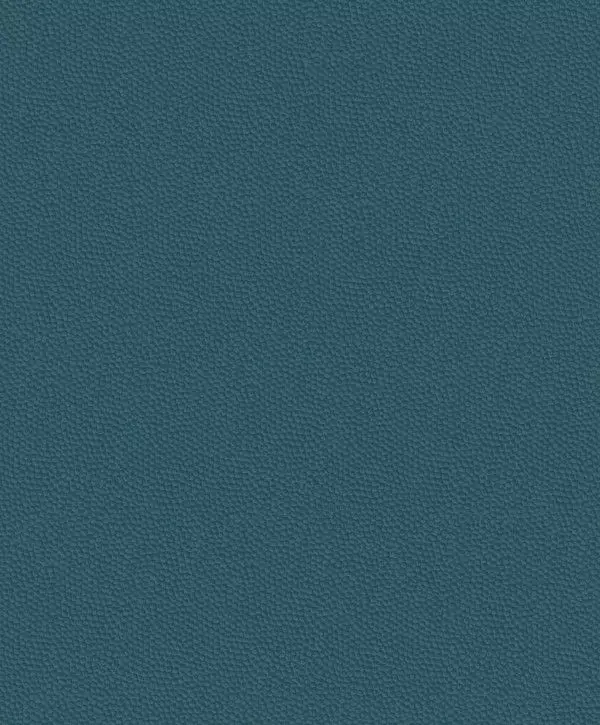 Big_8228_64_43_bfco_1