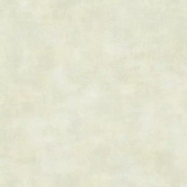 Big_8365_72_29_bfco_1