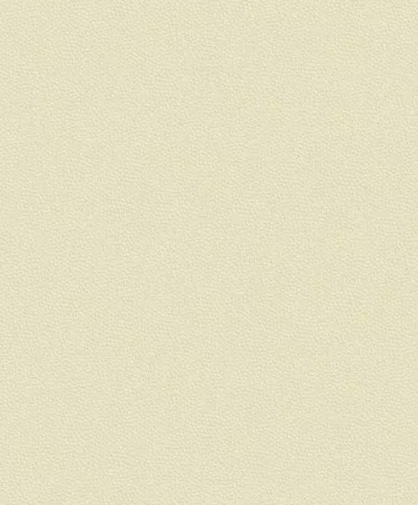 Big_8228_71_37_bfco_1