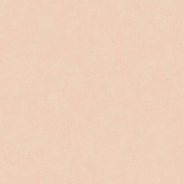 Big_8218_41_29_bfco_1