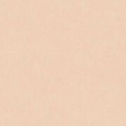 Thumb_8218_41_29_bfco_1