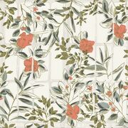 Thumb_8523_31_15_jdsp_1