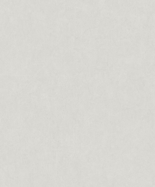 Big_8238_14_14_jdsp_1