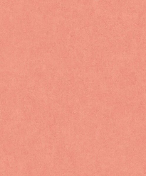 Big_8238_43_40_jdsp_1