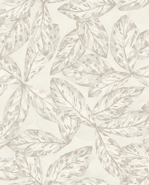 Big_8525_11_02_jdsp_1