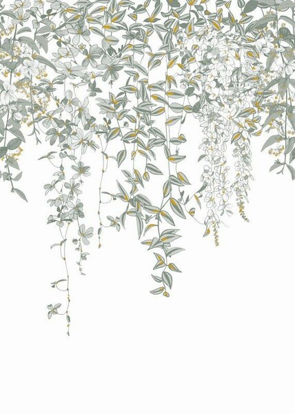 Big_8527_72_12_jdsp_1