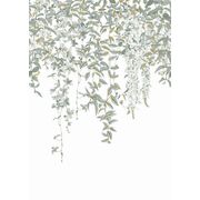 Thumb_8527_72_12_jdsp_1