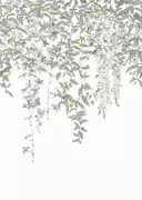 Thumb_8527_72_12_jdsp_1