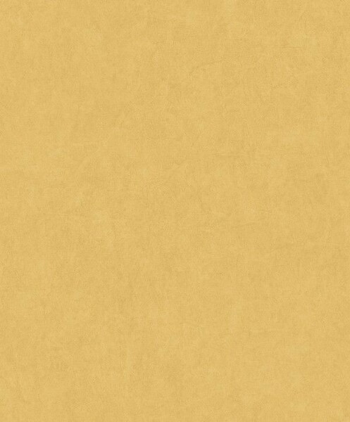 Big_8238_25_20_jdsp_1