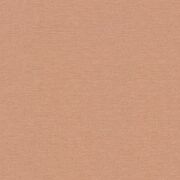 Thumb_1302_434_1