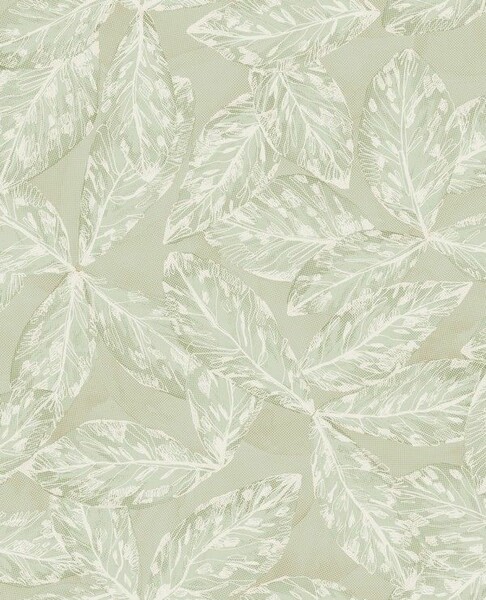 Big_8525_71_06_jdsp_1