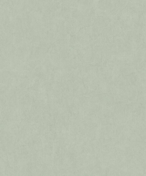 Big_8238_71_17_jdsp_1