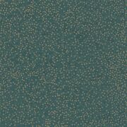 Thumb_8521_72_07_jdsp_1