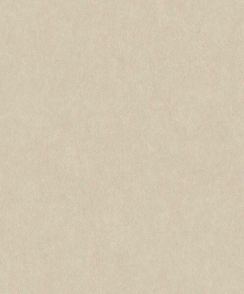 Big_8407_12_02_jdsp_1