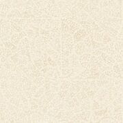 Thumb_8521_12_05_jdsp_1