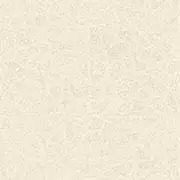 Thumb_8521_12_05_jdsp_1