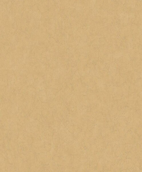 Big_8407_14_24_jdsp_1