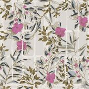 Thumb_8523_42_24_jdsp_1