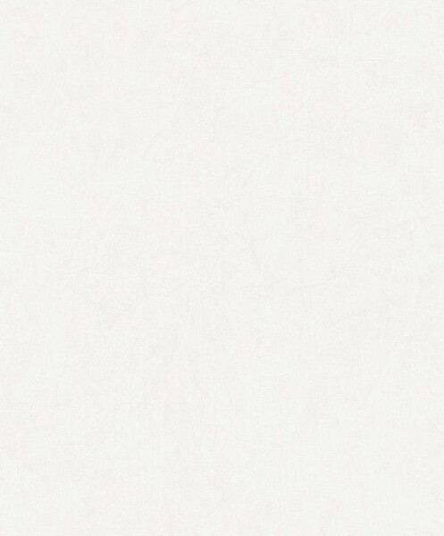 Big_8238_11_41_jdsp_1