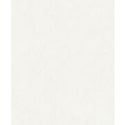 Thumb_8238_11_41_jdsp_1