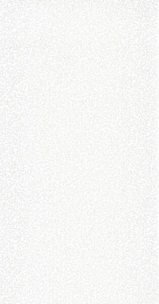 Big_8412_02_33_swht_1