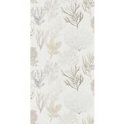 Thumb_8397_11_20_swht_1