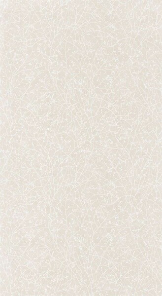 Big_8377_11_22_swht_1